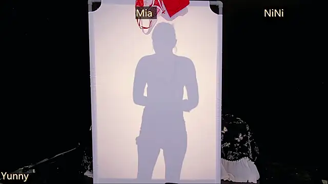MiNi-U webcam