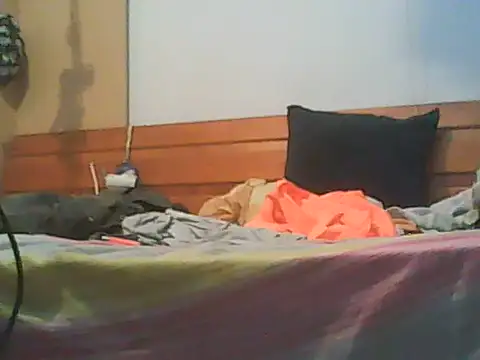 Fundy37 webcam