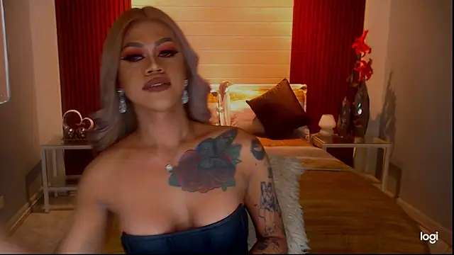 StellaStrong30 webcam