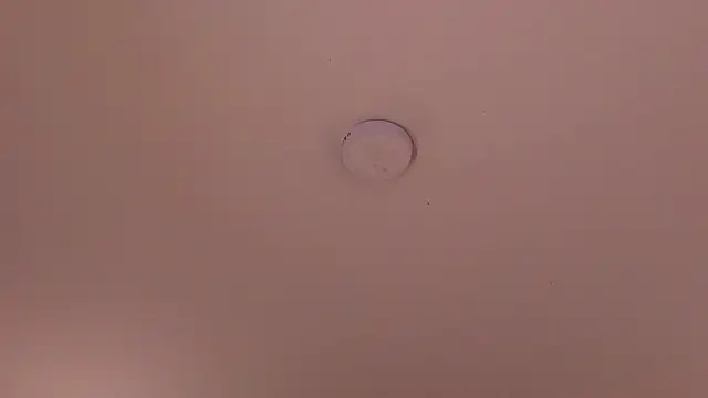 soidai_miiu webcam