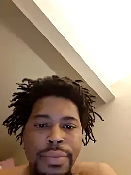 Painstickwes webcam