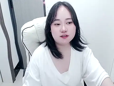 P999933 webcam