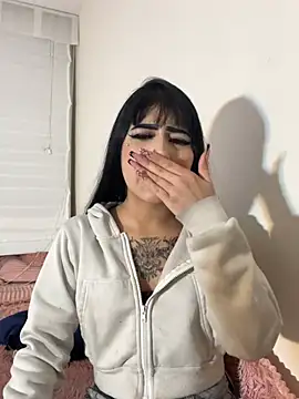 -Brittanny webcam