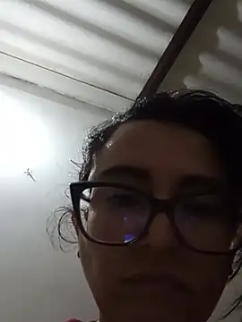 IsaxFox03 webcam