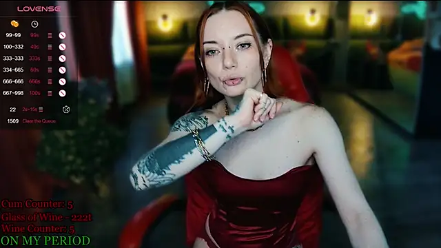 MaxPhoenixx webcam