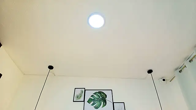 AdharaSmithh webcam