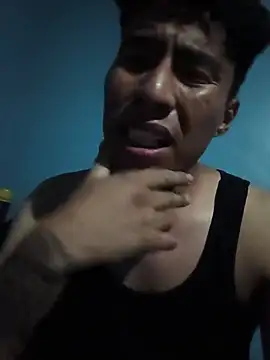 Baese-lsedd webcam