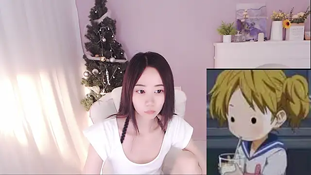 hall-33 webcam