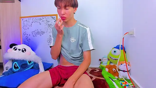 Ely_king webcam