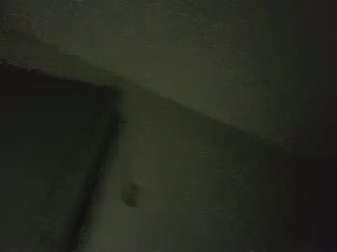 libelula09 webcam