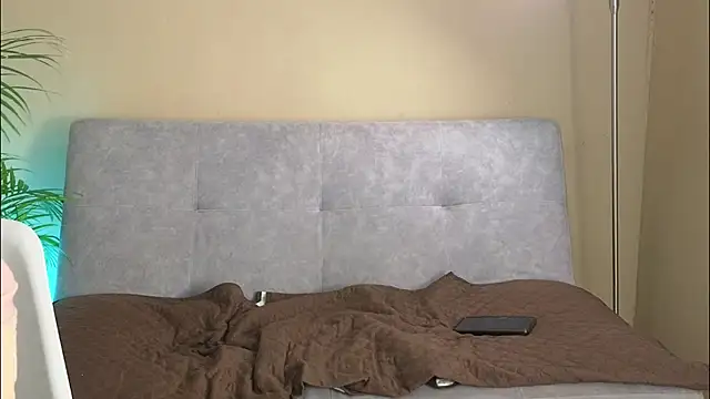 Cat_zha webcam
