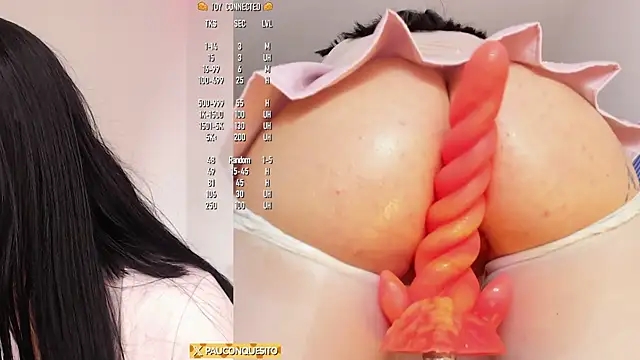 PauWithCheese webcam