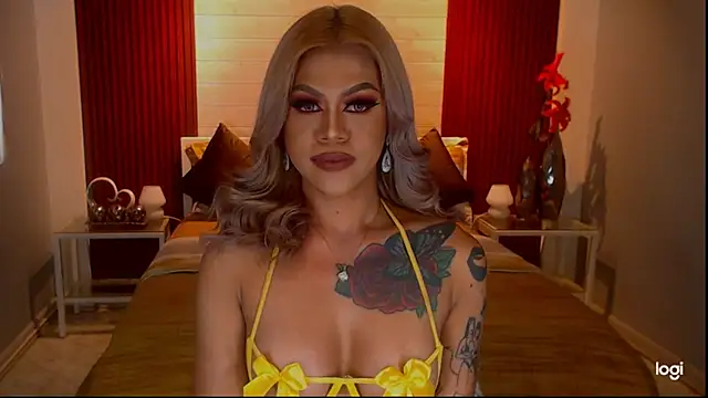 StellaStrong30 webcam