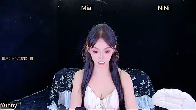 MiNi-U webcam