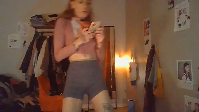 plsmecha webcam