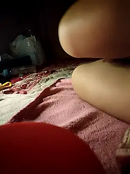 -Tara-a webcam