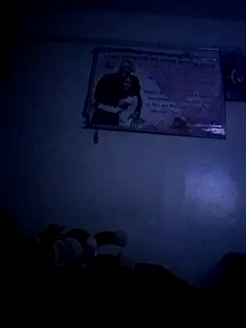 meshje webcam