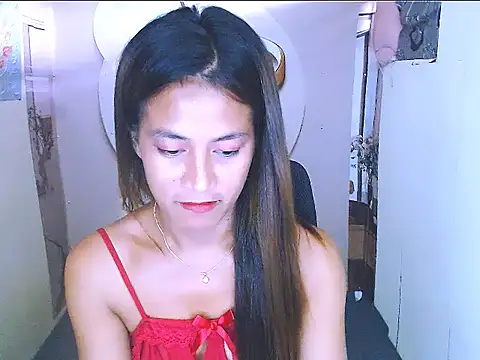 nica20 webcam