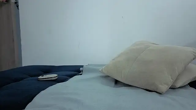 brandy_h9 webcam