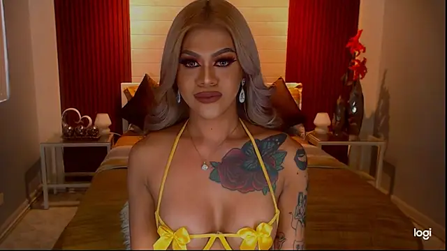 StellaStrong30 webcam