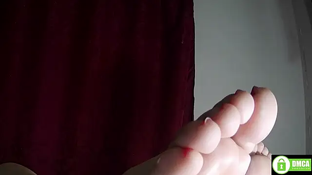 StarElii webcam