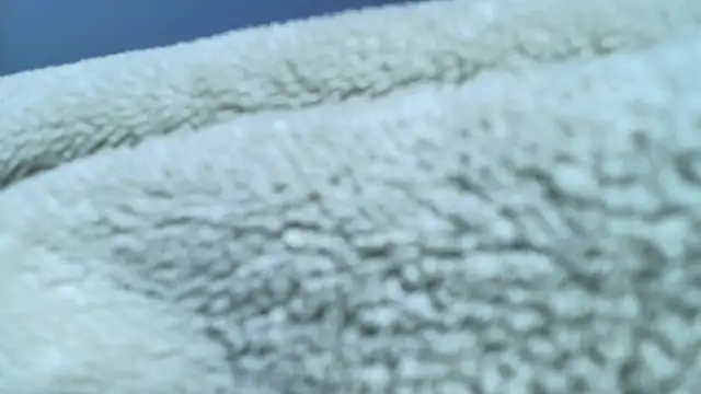 Aliciawonderxx webcam