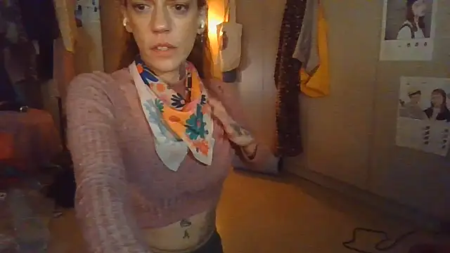 plsmecha webcam