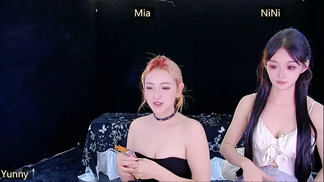 MiNi-U webcam