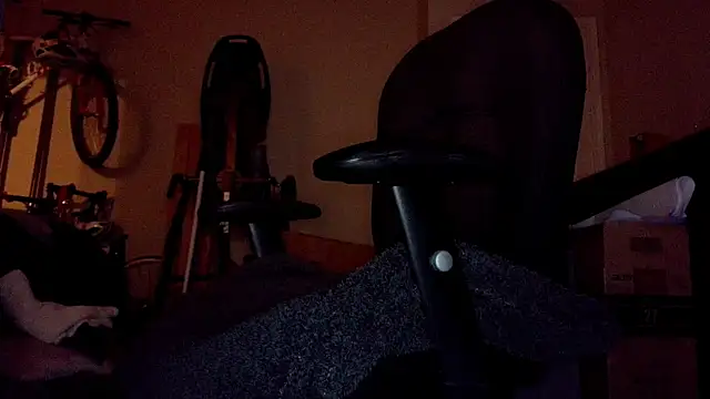 privateD webcam