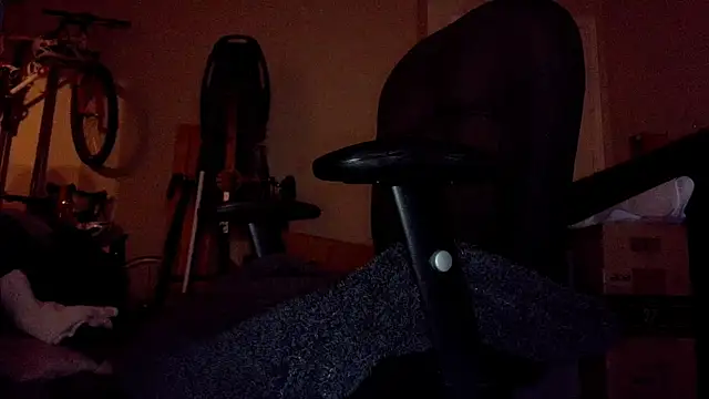 privateD webcam
