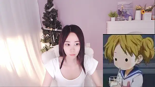 hall-33 webcam