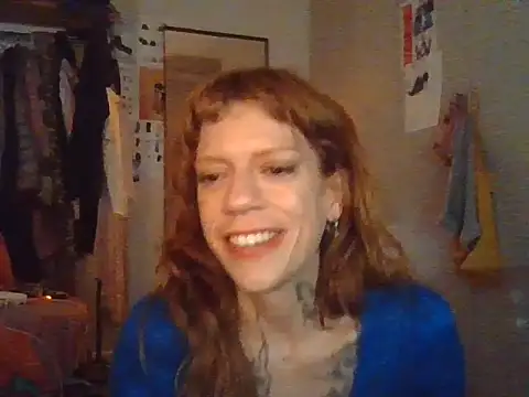 plsmecha webcam
