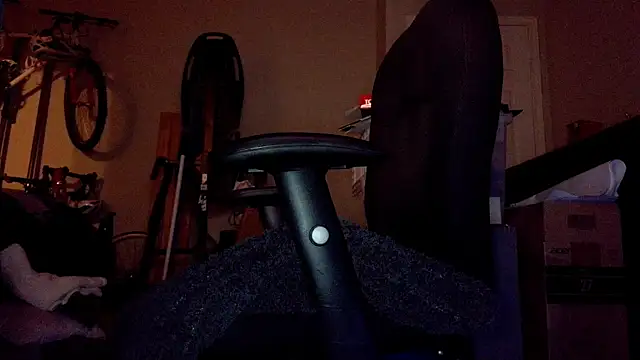 privateD webcam