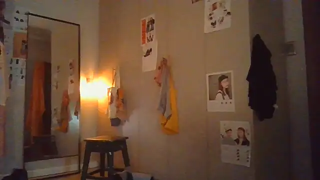 plsmecha webcam