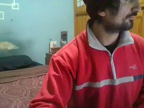 tanobighorse webcam