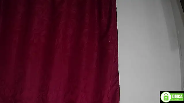StarElii webcam