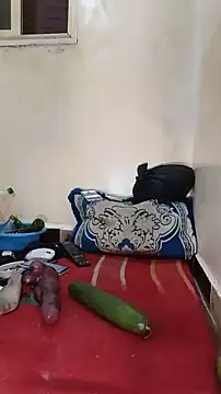 tslovetoys5 webcam