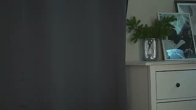akumadadrive webcam