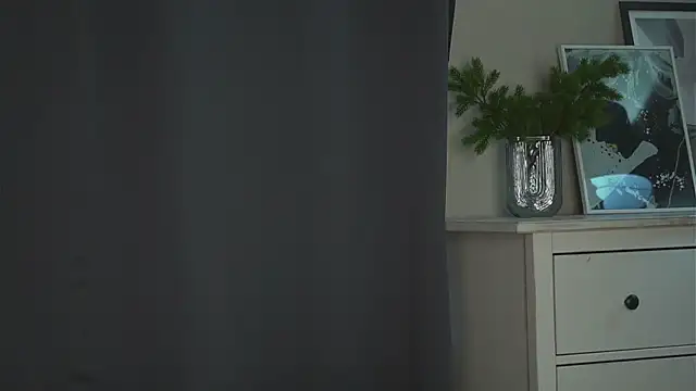 akumadadrive webcam