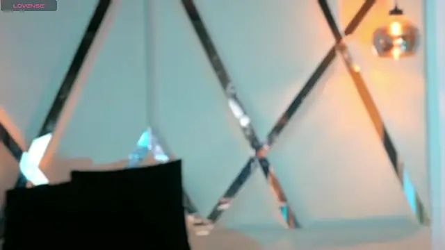MeelFox webcam