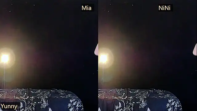 MiNi-U webcam