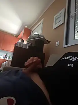 arksex32 webcam