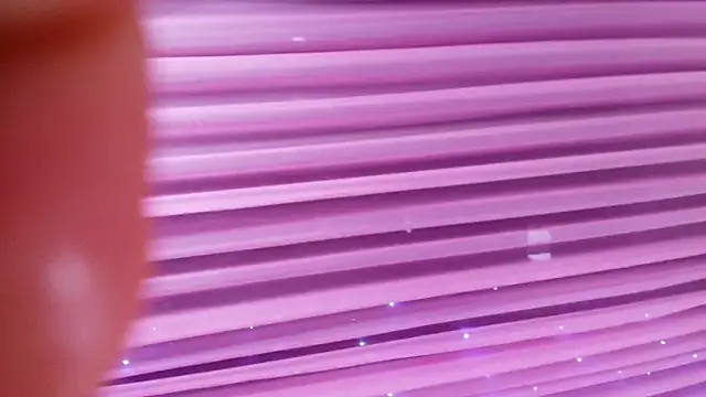 sofi_decker webcam