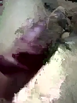 monster20cm webcam