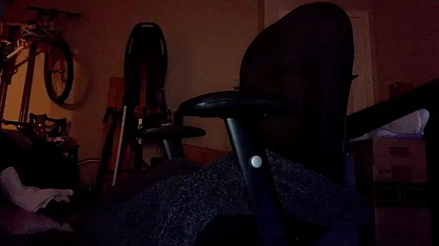 privateD webcam