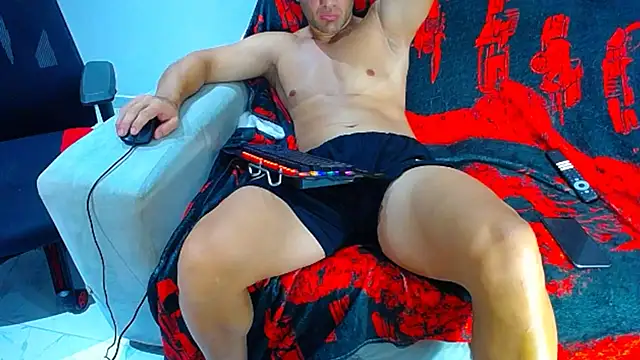 hugo_19cm webcam