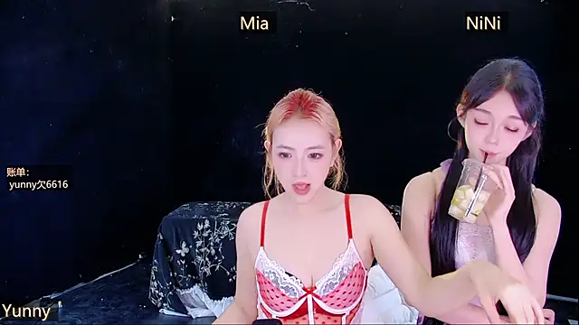 MiNi-U webcam