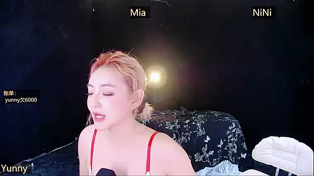 MiNi-U webcam