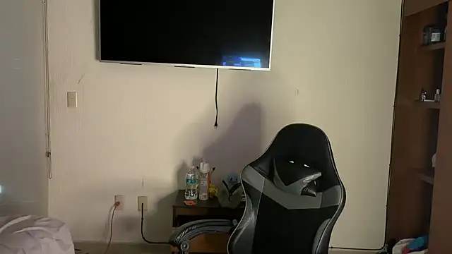 zamir333 webcam