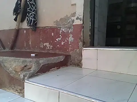 Dizzydose webcam